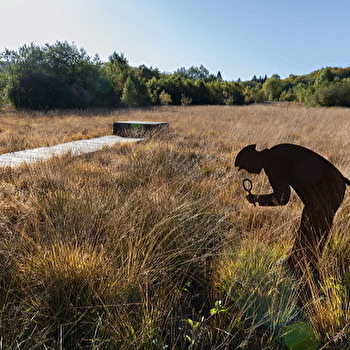Vers les bois du Folin  - SAINT-LEGER-SOUS-BEUVRAY