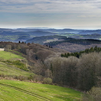 La Châtaigneraie - SAINT-LEGER-SOUS-BEUVRAY