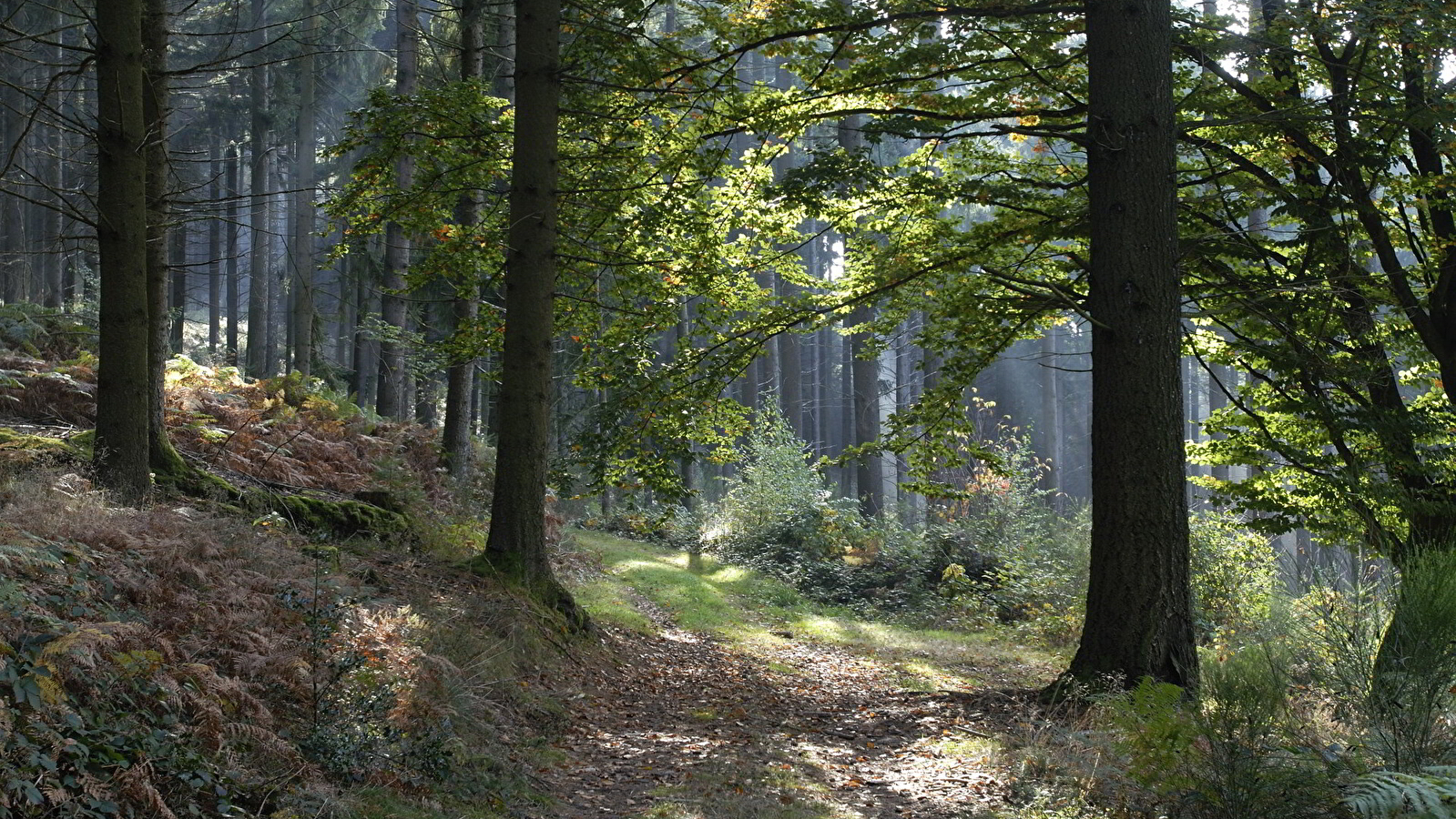 Vers les bois du Folin en 2 jours