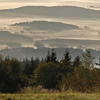 Vers les Bois du Folin - SAINT-LEGER-SOUS-BEUVRAY