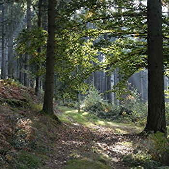 Vers les bois du Folin en 2 jours - SAINT-LEGER-SOUS-BEUVRAY