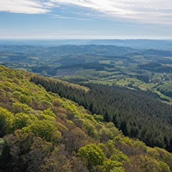 Tour du Morvan des sommets  - SAINT-LEGER-SOUS-BEUVRAY
