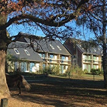 Domaine du Bois du Loup - SAINT-AGNAN